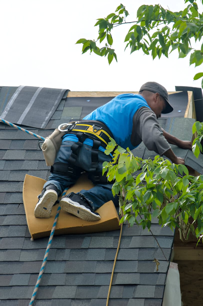 Commercial Roof Care