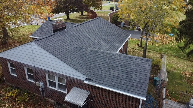 Cleaning moss from roof