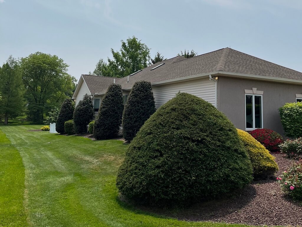 Roof Repair And Maintenance