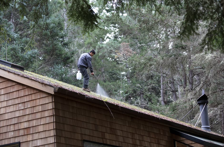 Cleaning moss from roof