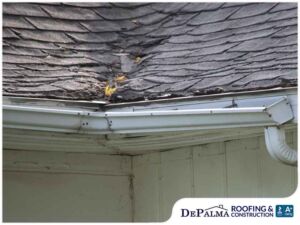 Damaged shingle roof and gutters