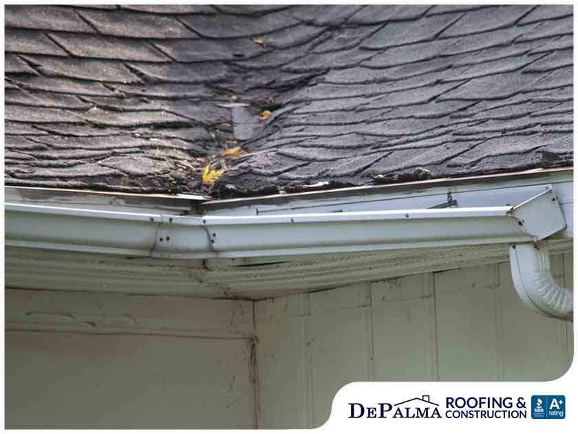 Damaged shingle roof and gutters
