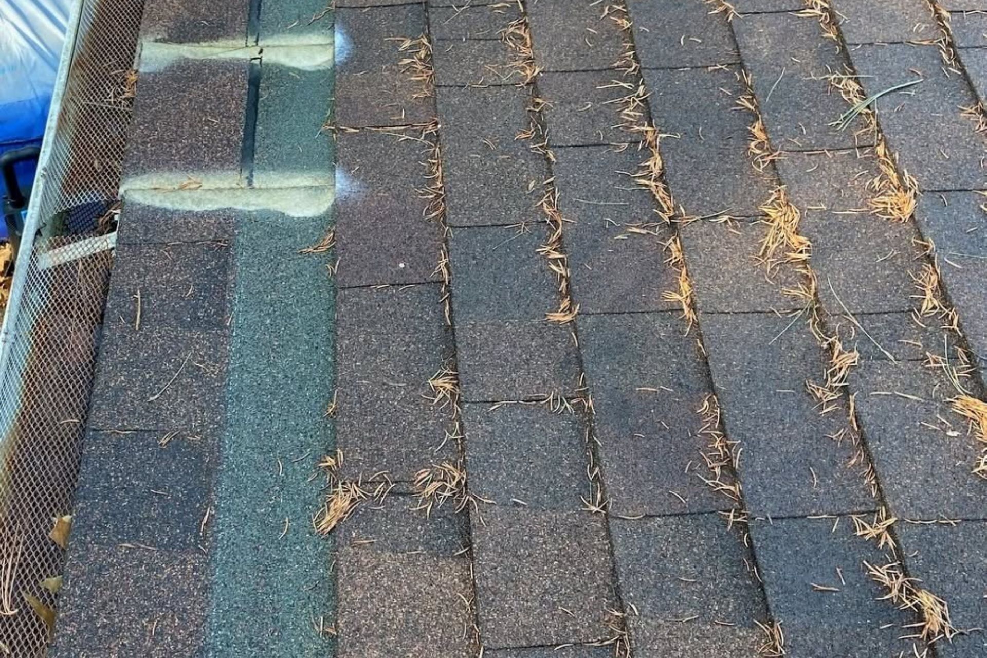 Neglecting Roof Repairs