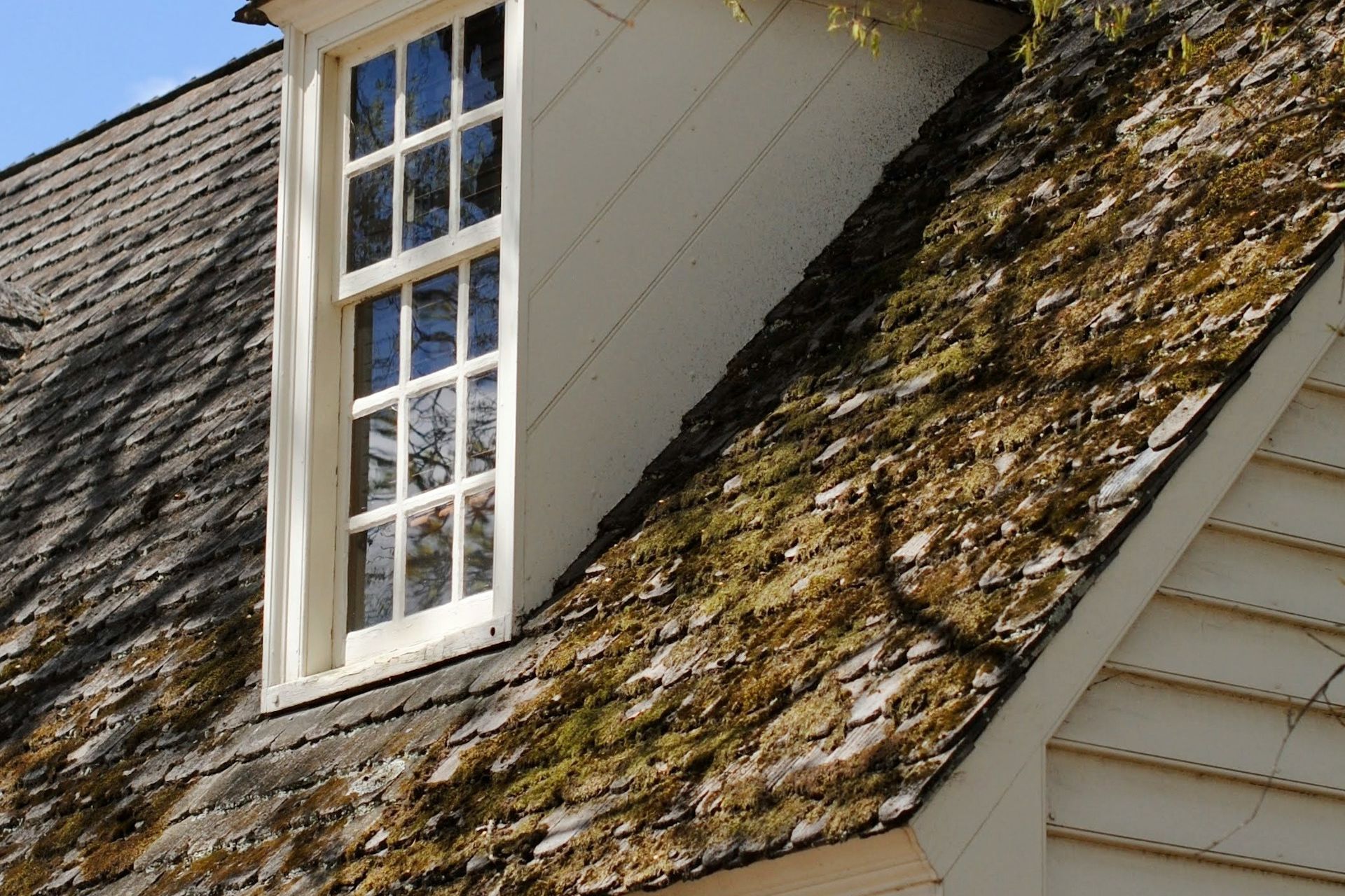Identifying Roof Stains