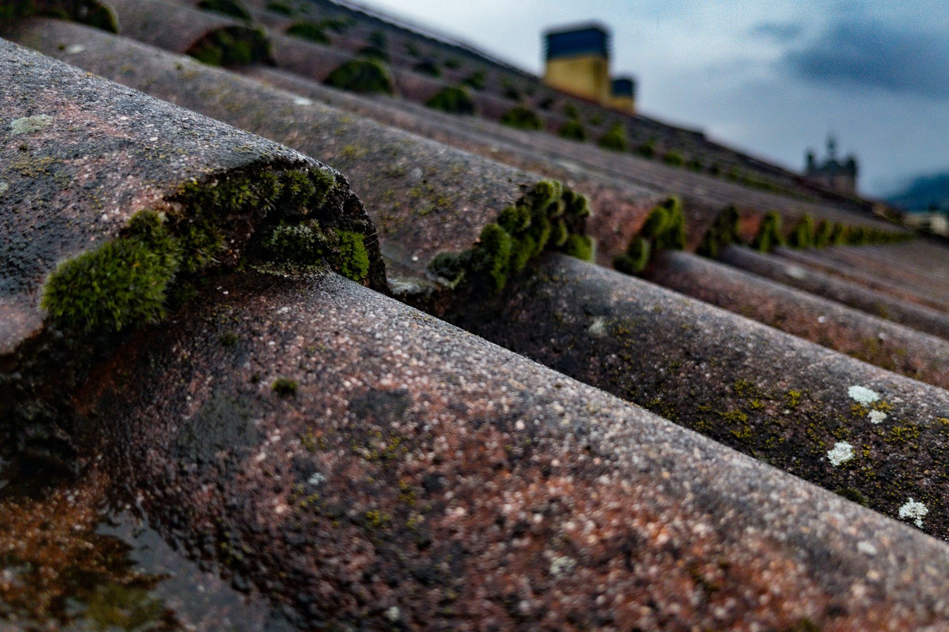 Mossy Shingle Roof tiles